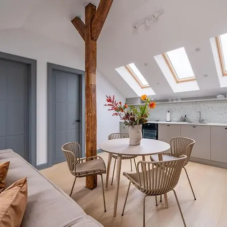 Bright Designer Mansard In City Centre