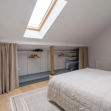 Bright Designer Mansard In City Centre Apartment Riga