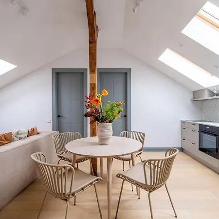 Bright Designer Mansard In City Centre *