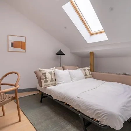 Bright Designer Mansard In City Centre Apartment
