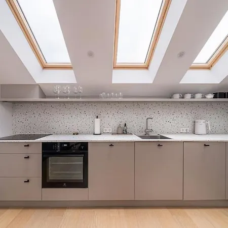 Bright Designer Mansard In City Centre *