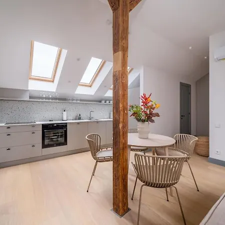 Bright Designer Mansard In City Centre Apartment