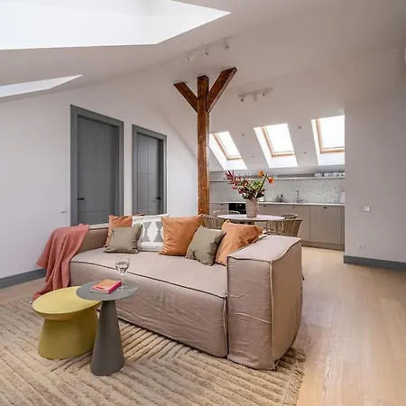 Apartment Bright Designer Mansard In City Centre Riga