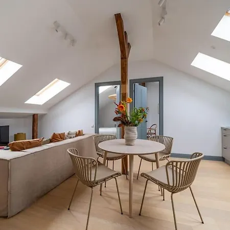 Bright Designer Mansard In City Centre Apartment