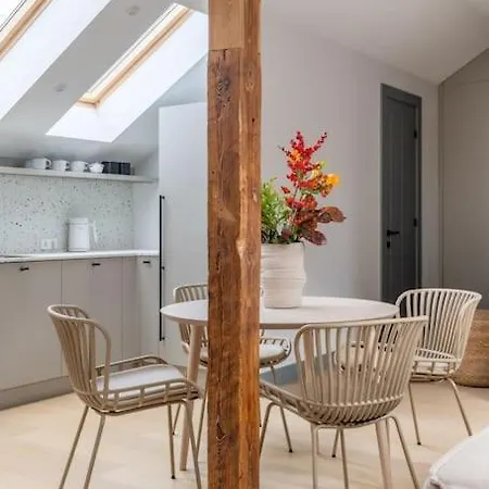 Bright Designer Mansard In City Centre Apartment Riga