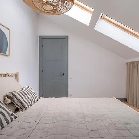 Apartment Bright Designer Mansard In City Centre