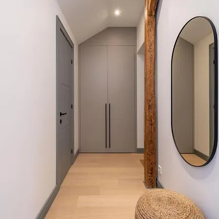 Apartment Bright Designer Mansard In City Centre